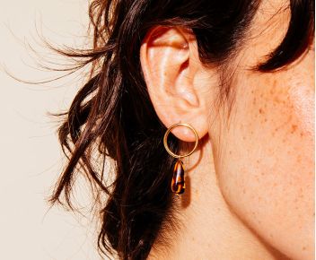 Earrings tiger eye
