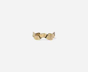 Fluxus Ring